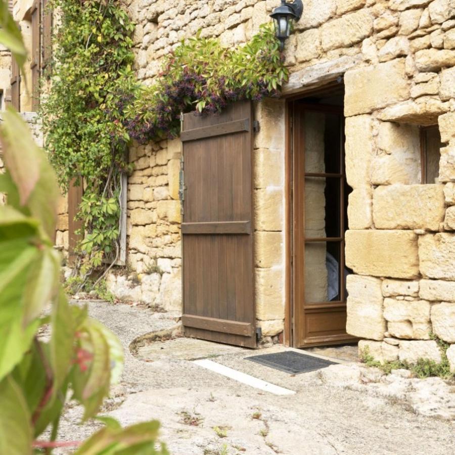 Domaine De Cantegrel - Gites De Charme Et Suite Troglodyte En Perigord Витрак Екстериор снимка