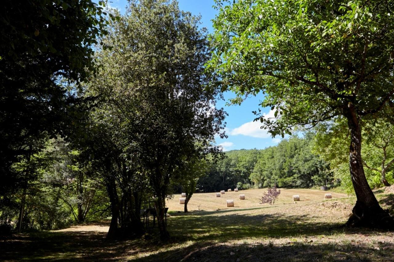 Domaine De Cantegrel - Gites De Charme Et Suite Troglodyte En Perigord Витрак Екстериор снимка