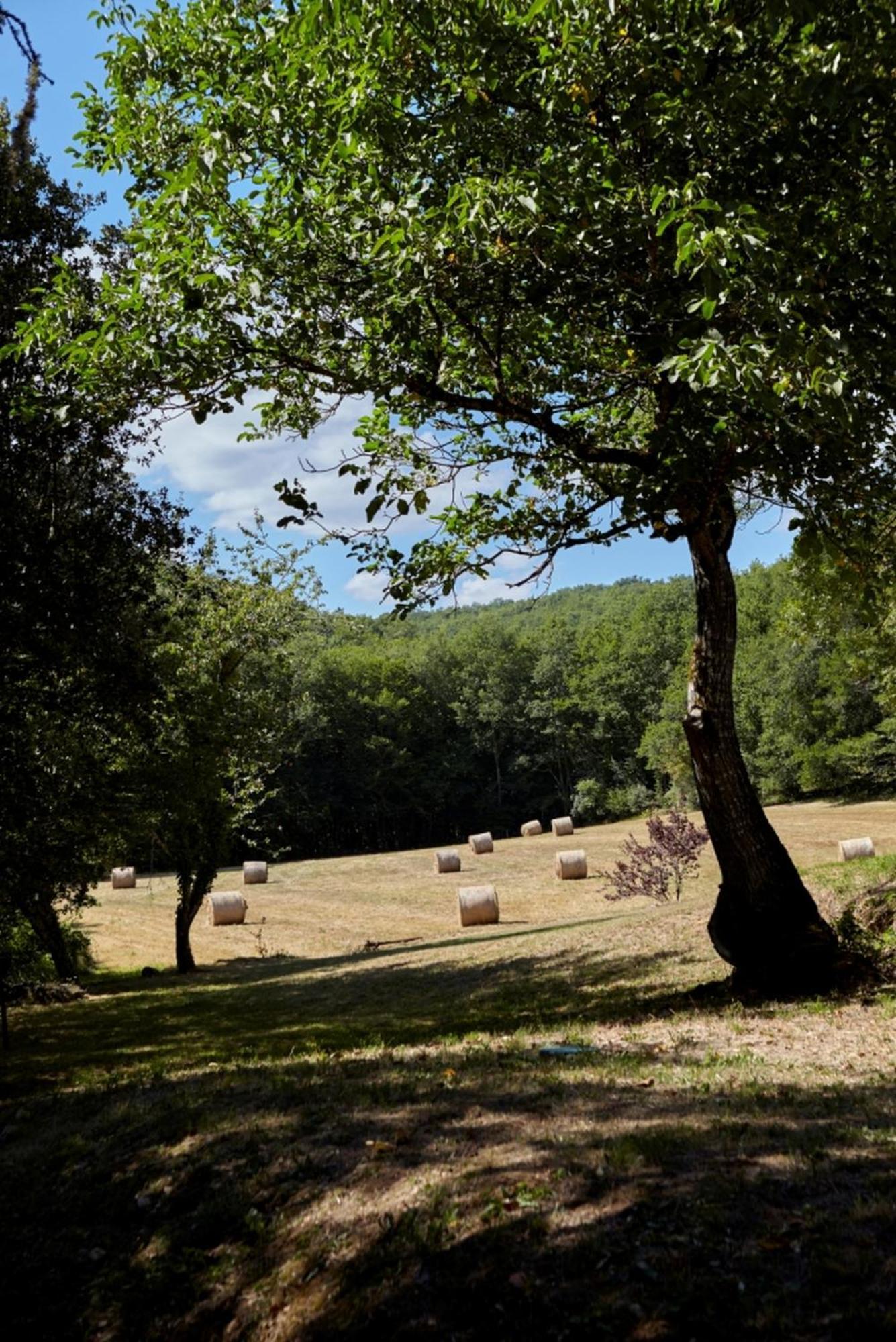 Domaine De Cantegrel - Gites De Charme Et Suite Troglodyte En Perigord Витрак Екстериор снимка